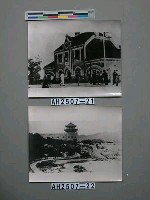 藏品(青島水族館)的圖片